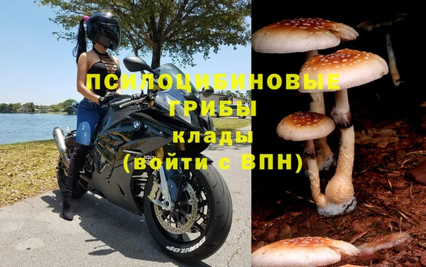 прущая мука Осинники