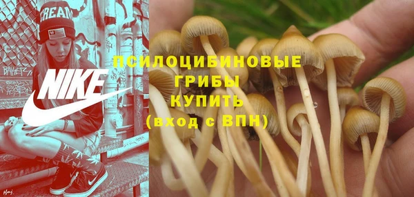 кокаин колумбия Няндома